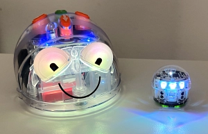 BlueBot und Ozobot.jpg